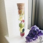 作品本水晶入り☆ガラスの試験管に果物木の実をギュッとつめた飾り物