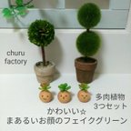 作品多肉植物3つセット☆まあるいお顔のフェイクグリーン～ナチュラル～