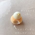 作品ひよこどーなつ