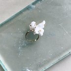 作品【coral ring】珊瑚のピンキーリング