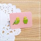 作品【☆送料無料☆】ミニピアス/イヤリング/ぷちピンバッジセット♥インコ