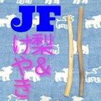 作品JF.けやき梨の木新品.犬用おもちゃ、超型犬向け歯固めかじり木