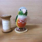 作品羊毛フェルト＊ホオミドリアカオウロコインコ＊＊送料無料