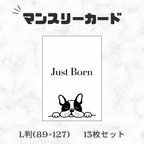 作品 \ new /【縦 L判】フレンチブルドッグ マンスリーカード 月齢カード