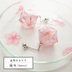 作品自然のカケラ ピアス 桜 Sakura 六角形 ＜イヤリング交換可＞