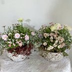 作品専用 オーダー品寄せ植え2作品