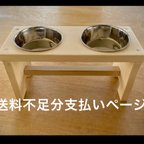 作品［送料不足分］支払いページ