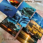 作品IF infinityJourneyハワイ島ポストカードset