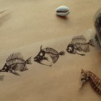 作品生物好きのための魚の骨テープ