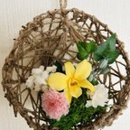 作品麻紐カゴの苔玉アレンジ