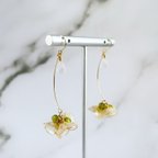 作品《30%OFF》おかえりセール　ゆらめく花〜菜の花〜ピアス/イヤリング