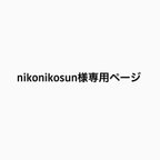 作品nikonikosun様専用ページ