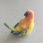 作品コガネメキシコインコ　起き上がりこぼし？！