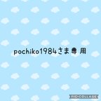 作品pochiko1984さま専用