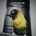 作品【momoka99様onry】ボタンインコステッカーセット