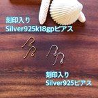 作品⚠️Silver925k18gp・Silver925・ピアス交換⚠️◎金属アレルギー対応◎