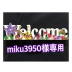 作品miku3950様専用    アルファベットオブジェ