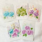 作品紫陽花　5枚セット　ポストカード　絵葉書　イラスト　デザイン　かわいい　お花　インテリア