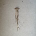作品jellyfish hair cuff ボツワナアゲート