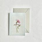 作品刺繍カード/ カーネーション