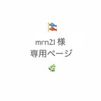 作品mrn21 様 専用ページ🎏