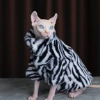 作品猫服　スフィンクスネコ　シマウマ セーター　冬厚く暖かい綿入れ　コート