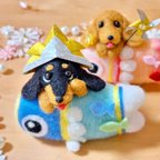 作品鯉のぼり ダックス ☆ 愛犬 こどもの日 5月飾り ミニチュア 羊毛フェルト