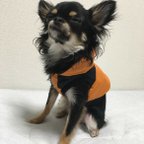 作品フード付きダウンジャケット Lサイズ オレンジ/ブラック(橙/黒) 犬服 冬服 