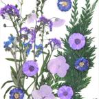 作品ドライフラワー　押し花　DIY用　紫、薄紫、白ミックス