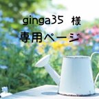 作品ginga35様 専用ページ