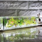 作品レア出品 限定 涼しい水槽  横置きBig ～和～Gold fish