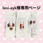 作品levi-ayk様専用ページ