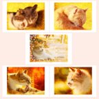 作品猫アート。ねこ のポストカード（はがき）５枚セット