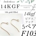 作品お試し価格！【F101】お得！14kgf  ピアスフック　5ペア