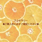 作品アクセサリー🌼ご購入前に必ずご確認ください🌼