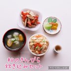 作品ミニチュア 秋のきんぴら炊き込みセット