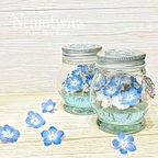 作品【本物のネモフィラ】お手頃価格ボトル 発送すぐ【Nemophila hydrangea】