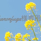 作品hanonfuga様専用ページ