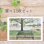作品アメリカ風景画 (5枚セット) ポストカード