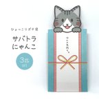 作品ひょっこりポチ袋【サバトラにゃんこ】