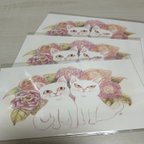 作品猫とお花のポストカード３枚入りセット　No.１