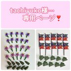 作品tachiyuko様…専用ページ❣️