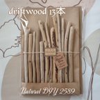 作品driftwood　流木13本