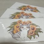 作品猫とお花のポストカード3枚りセット　No.３