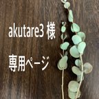 作品akutare3様 専用ページ