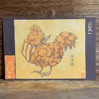 作品ポストカード ２０９１番目「唐揚鶏」