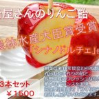 作品農林水産大臣賞受賞！長野直送シナノドルチェのりんご飴🍎3本セット