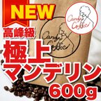 作品極上マンデリン G1 大容量 コーヒー豆 Candy Coffee こだわり厳選珈琲豆