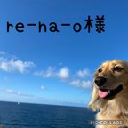 作品ꕤ︎︎re-na-o様ꕤ︎︎