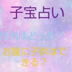 作品30分間占い放題 霊視占い タロット占い 妙名占い 水晶占い 子宝占い 恋愛占い